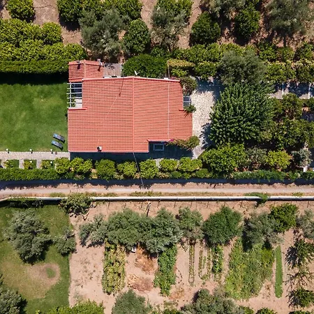 Villa Luxurious Villa, With Big Garden Next To Beach