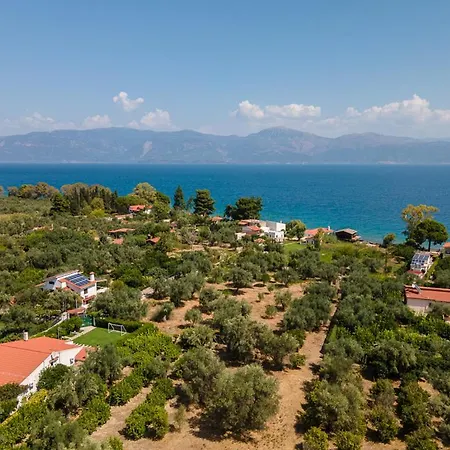 Luxurious Villa, With Big Garden Next To Beach Villa